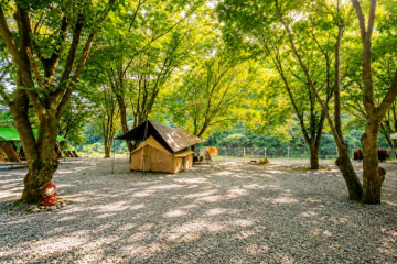 가평사계절캠핑장 여행 추천 - 메고지고