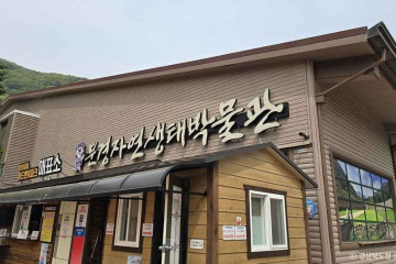 문경카트월드 여행 추천 - 메고지고