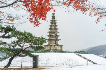 충주박물관 여행 추천 - 메고지고