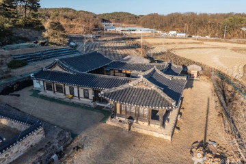 안동 주하리 뚝향나무 여행 추천 - 메고지고
