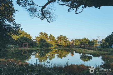 온평리 포구 여행 추천 - 메고지고