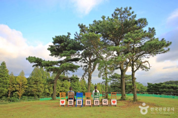 단석산 여행 추천 - 메고지고