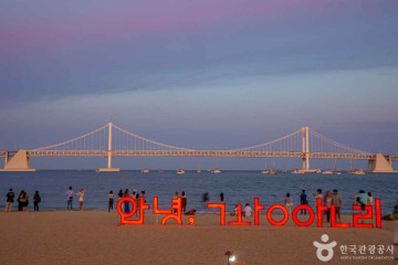 주식회사뷰티홀릭 여행 추천 - 메고지고