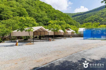 삼태산 경관 여행 추천 - 메고지고