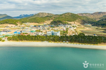 송호학생수련장 여행 추천 - 메고지고