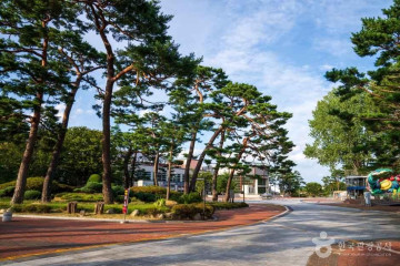 울진안전체험관 여행 추천 - 메고지고