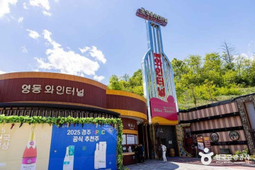 레인보우힐링센터 여행 추천 - 메고지고