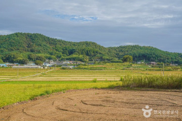 갈멜정원 여행 추천 - 메고지고