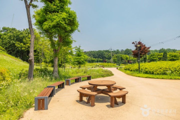 인천아시아드주경기장 여행 추천 - 메고지고