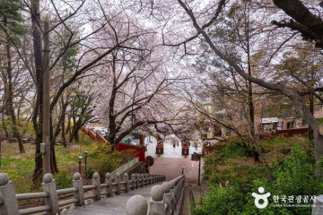 제물포구락부 여행 추천 - 메고지고