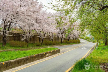 화추어린이공원 여행 추천 - 메고지고