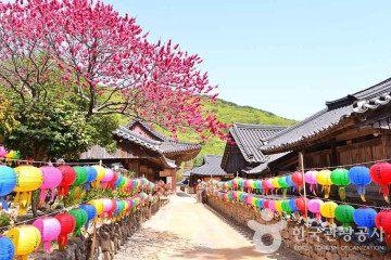 송광사 성보 박물관 여행 추천 - 메고지고