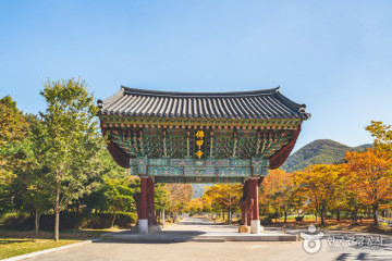 함평예덕리고분군 여행 추천 - 메고지고