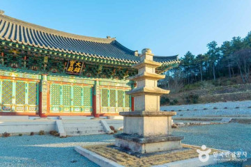 국립천관산자연휴양림캠핑장 여행 추천 - 메고지고
