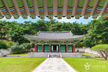 제봉산 마법의 숲 체험원 여행 추천 - 메고지고