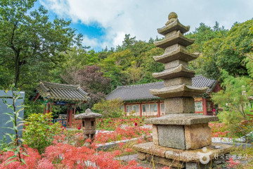진도 남도진성 여행 추천 - 메고지고