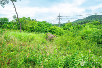 도림사(광주) 여행 추천 - 메고지고