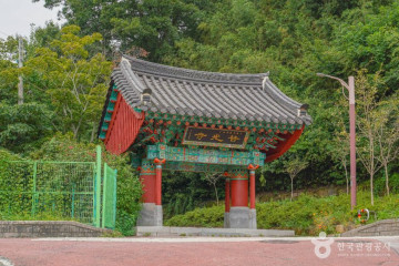 함평 기각리 붉가시나무 자생북한지 여행 추천 - 메고지고
