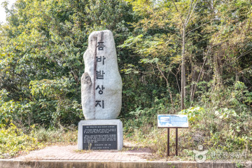 무안회산백련지 여행 추천 - 메고지고