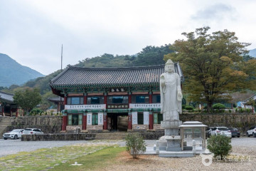 선인장 여행 추천 - 메고지고