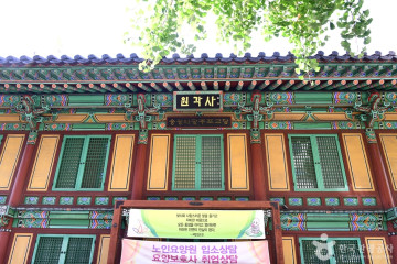 대인예술시장 한평갤러리 여행 추천 - 메고지고