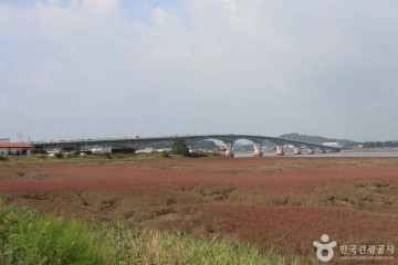 강화해수랜드 여행 추천 - 메고지고