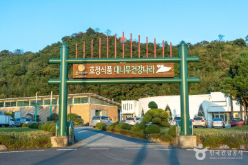 담양리조트 온천 여행 추천 - 메고지고