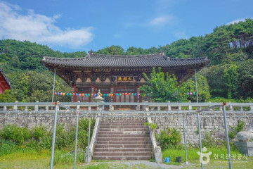 백운산 동곡계곡 여행 추천 - 메고지고