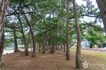 송호학생수련장 여행 추천 - 메고지고
