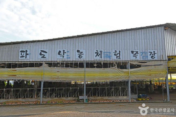 무안 감풀마을 [농촌전통테마] 여행 추천 - 메고지고