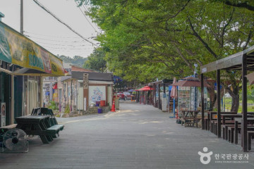 아트센터 대담 여행 추천 - 메고지고