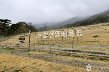 무등산편백자연휴양림 여행 추천 - 메고지고