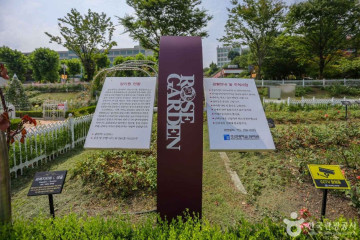 조선대학교 미술관 여행 추천 - 메고지고