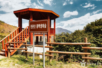 천관산 문학공원 여행 추천 - 메고지고