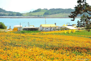 율도 여행 추천 - 메고지고