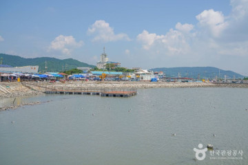 천일염전 여행 추천 - 메고지고