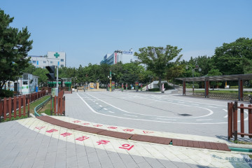 용화선원(인천) 여행 추천 - 메고지고