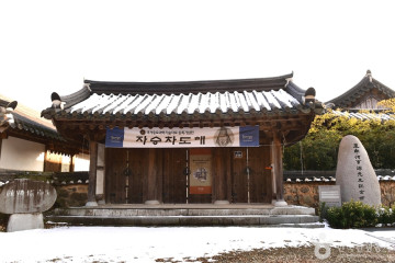 화순 야사리 은행나무 여행 추천 - 메고지고