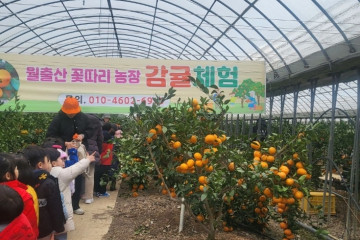 구고사 및 김완장군부조묘 여행 추천 - 메고지고