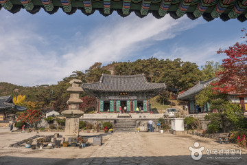 화순군립 운주사문화관 여행 추천 - 메고지고