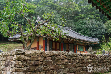 달마산 여행 추천 - 메고지고