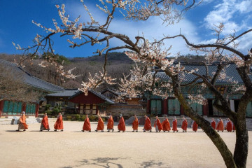 선암사계곡 여행 추천 - 메고지고