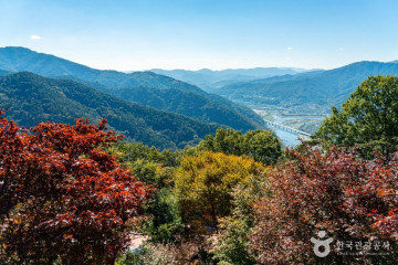 구례 섬진강 벚꽃길 여행 추천 - 메고지고