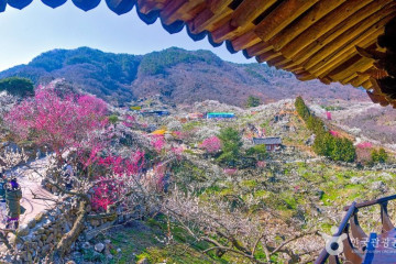 하동명품배거리 여행 추천 - 메고지고