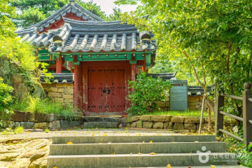 구례 산수유마을 여행 추천 - 메고지고