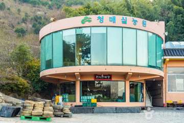 하동명품배거리 여행 추천 - 메고지고