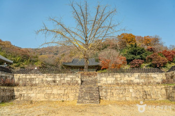봉하산촌생태마을 여행 추천 - 메고지고