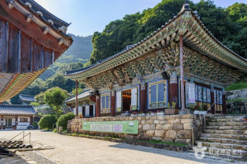 옥련사(강진) 여행 추천 - 메고지고