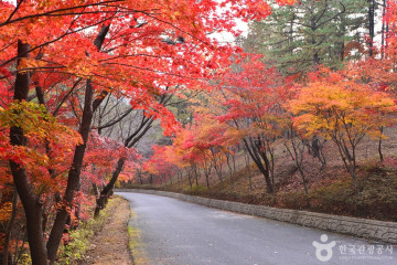 백아산 여행 추천 - 메고지고