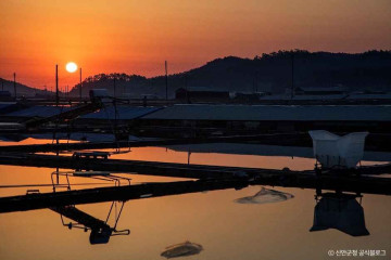삼도대교 여행 추천 - 메고지고